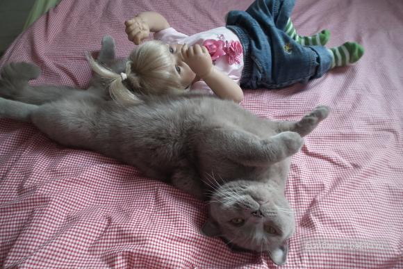 Софийка дома