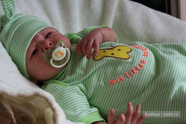 Маленькие джунгли большого Арсения (фото 4)