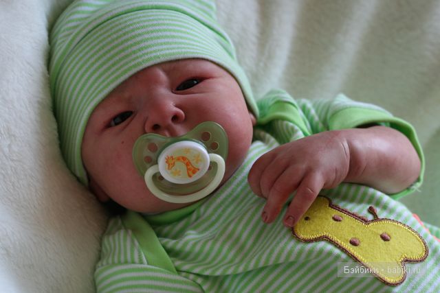 Маленькие джунгли большого Арсения