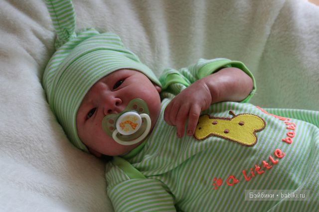 Маленькие джунгли большого Арсения (фото 2)