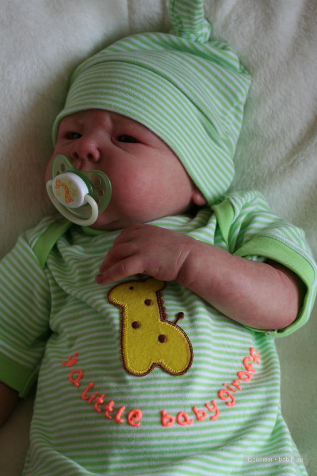 Маленькие джунгли большого Арсения (фото 3)