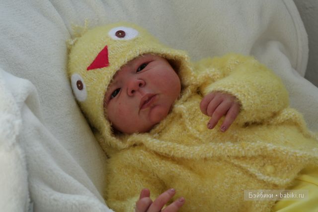 Сеньчик - птенчик ... и не только:) (фото 4)