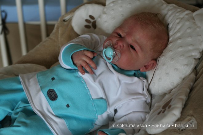 А вы любите весенних мишек (фото 2)