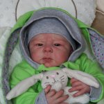 Зайцев много не бывает!