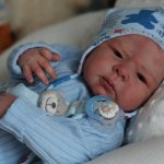 Мечты о зимних мишках...