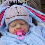 Жители стоакрового леса.