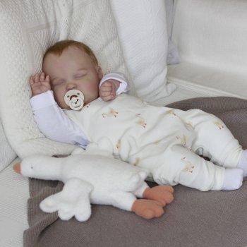 Весёлые гуси