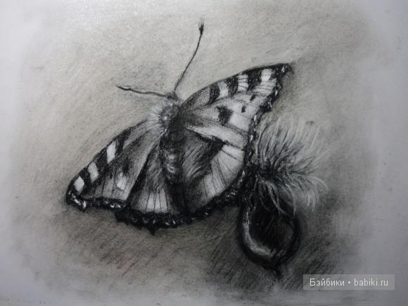 Несколько работ — Рисование и арт: скетчи (фото 5)