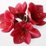 С праздником 8 марта!!!