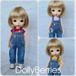 Продаю комплект одежды для Монст и Чибби-медовушек (monst, chibbi meadow)