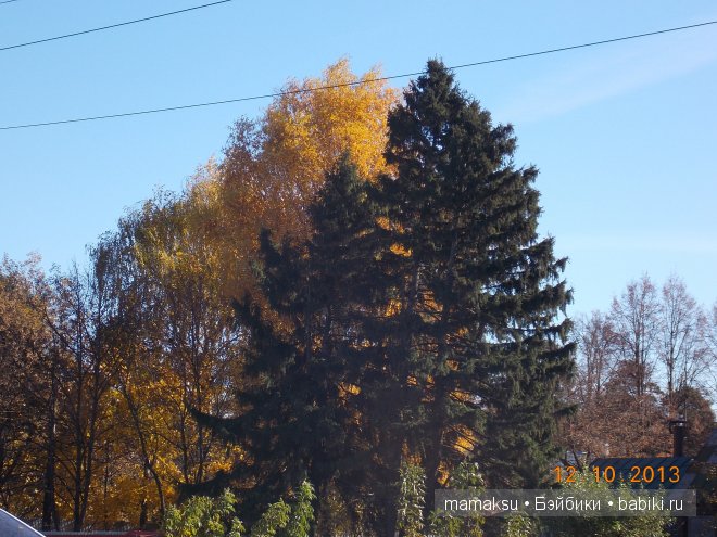 Поездка в Сергиев Посад. Посещение Свято-Троицкой Сергиевой Лавры