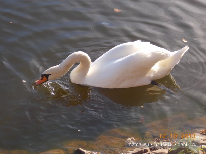 Поездка в Сергиев Посад. Посещение Свято-Троицкой Сергиевой Лавры