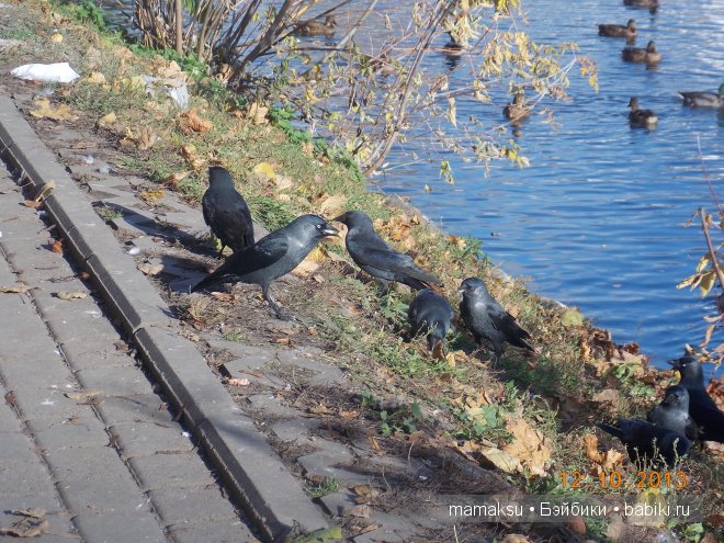Поездка в Сергиев Посад. Посещение Свято-Троицкой Сергиевой Лавры