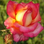 А давайте завтра встретимся?