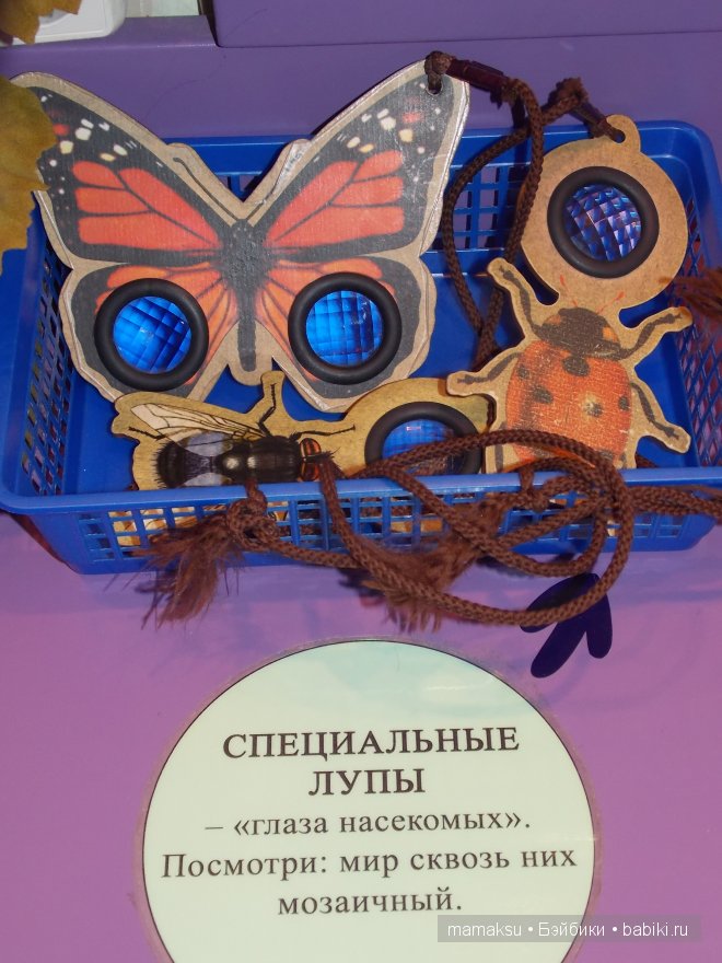 Наши интересные каникулы.(Часть 1-ая.)