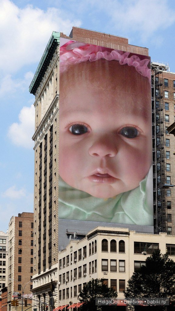 Алиса и Сенечка