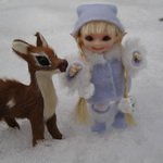 В сказочном лесу!