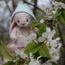 Один раз в год сады цветут