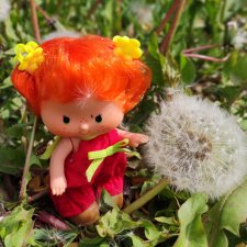 Рыжее солнышко