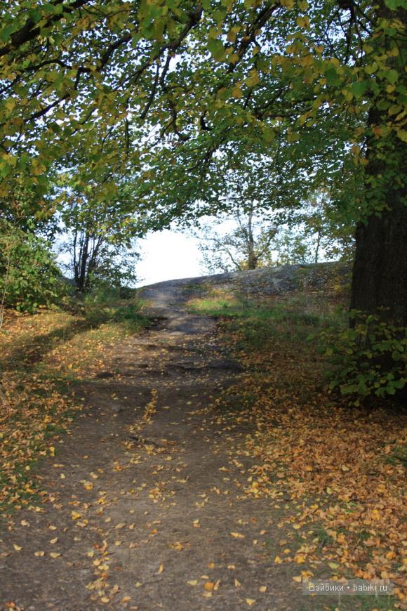 парк, Монрепо, Выборг