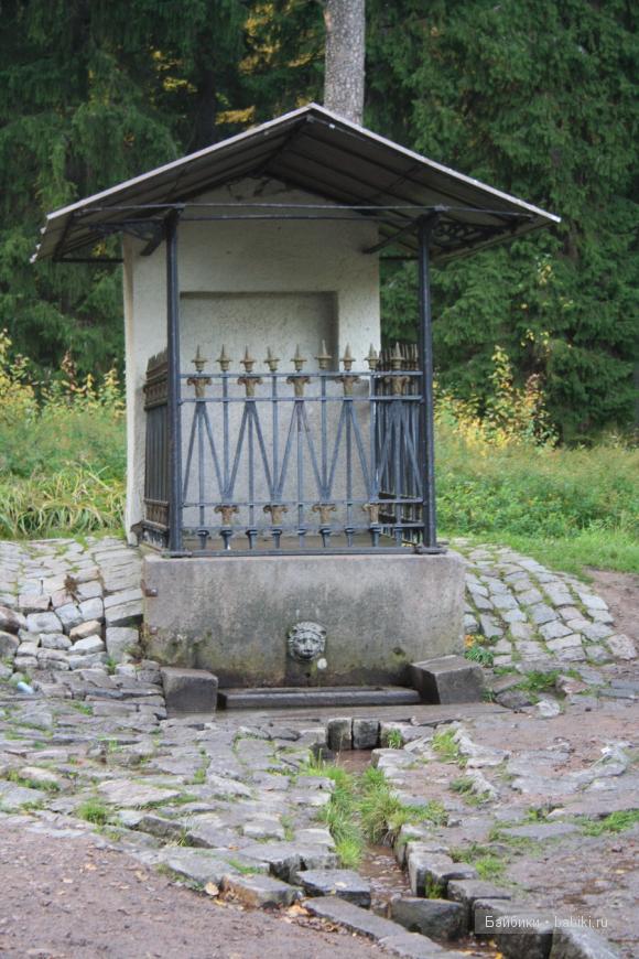 парк, Монрепо, Выборг