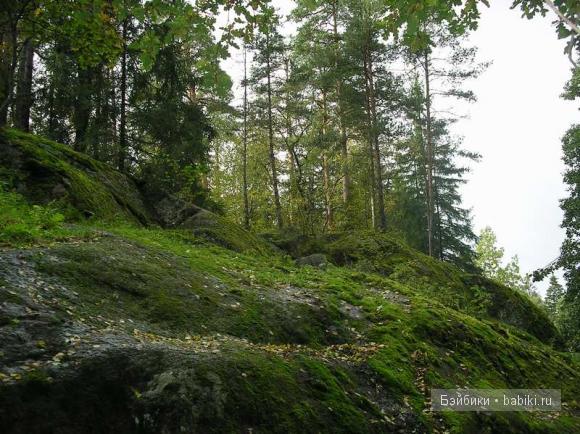 парк, Монрепо, Выборг