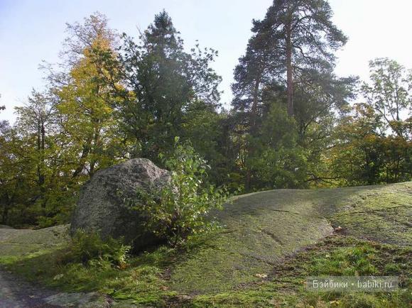 парк, Монрепо, Выборг