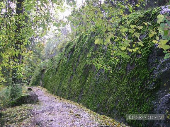 парк, Монрепо, Выборг
