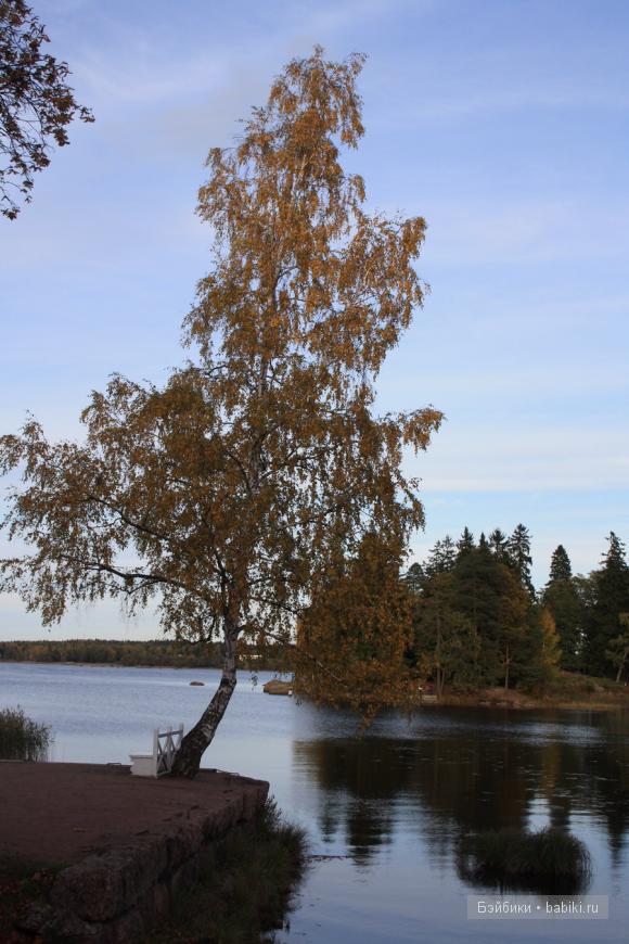 парк, Монрепо, Выборг