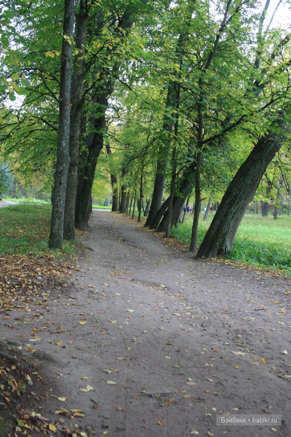 парк, Монрепо, Выборг