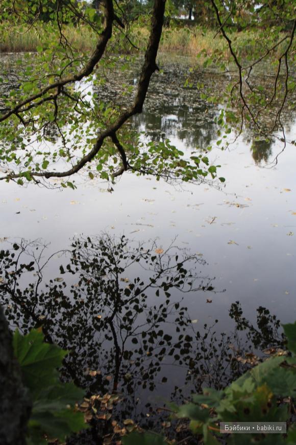 парк, Монрепо, Выборг