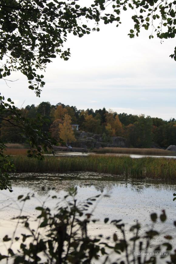 парк, Монрепо, Выборг