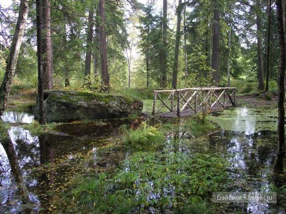 парк, Монрепо, Выборг