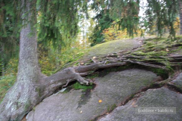 парк, Монрепо, Выборг