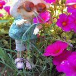 Сборы Стеши на Море. Продолжение