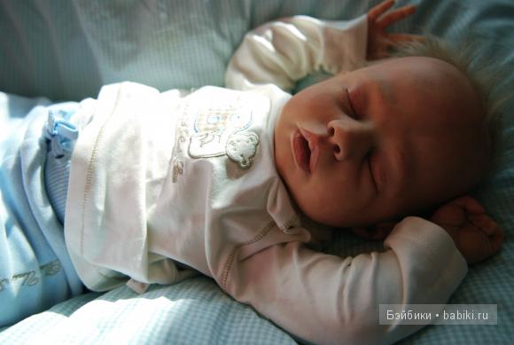 Сплюшка наша