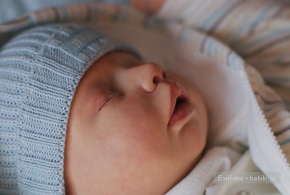 наши реснички