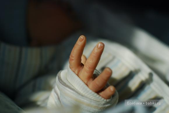 наши реснички