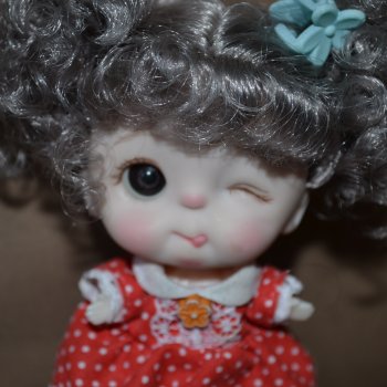 Куколки бывают разные