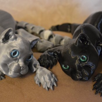 Опять котики?! Да,опять.