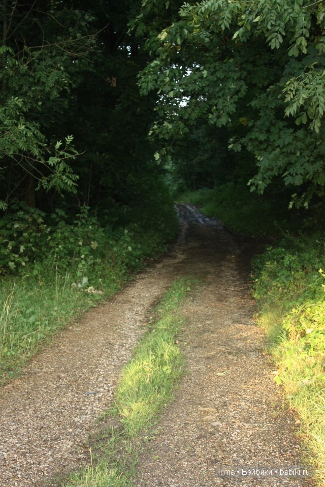 побег, Zwergnase, Nicole Marschollek