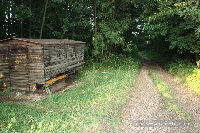 Побег 3. Куклы Цвергназе - Nicole Marschollek (фото 7)