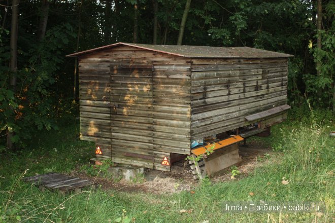 Побег 3. Куклы Цвергназе - Nicole Marschollek (фото 6)