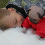 Мопс Жуля-3. Собака друг человека. Кукла реборн Катерины Осиповой-Коняевой