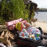 Лето , отдых , запфики...