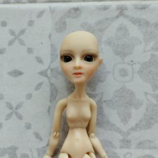 Амигата Квинта