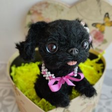 Авторский щенок Cola