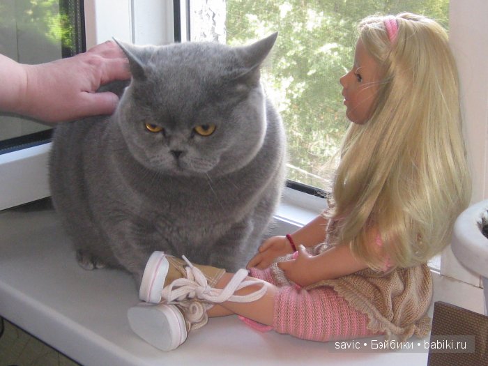 Чаепитие в Мытищах — Куклы Gotz (Готц): Ханна (фото 3)