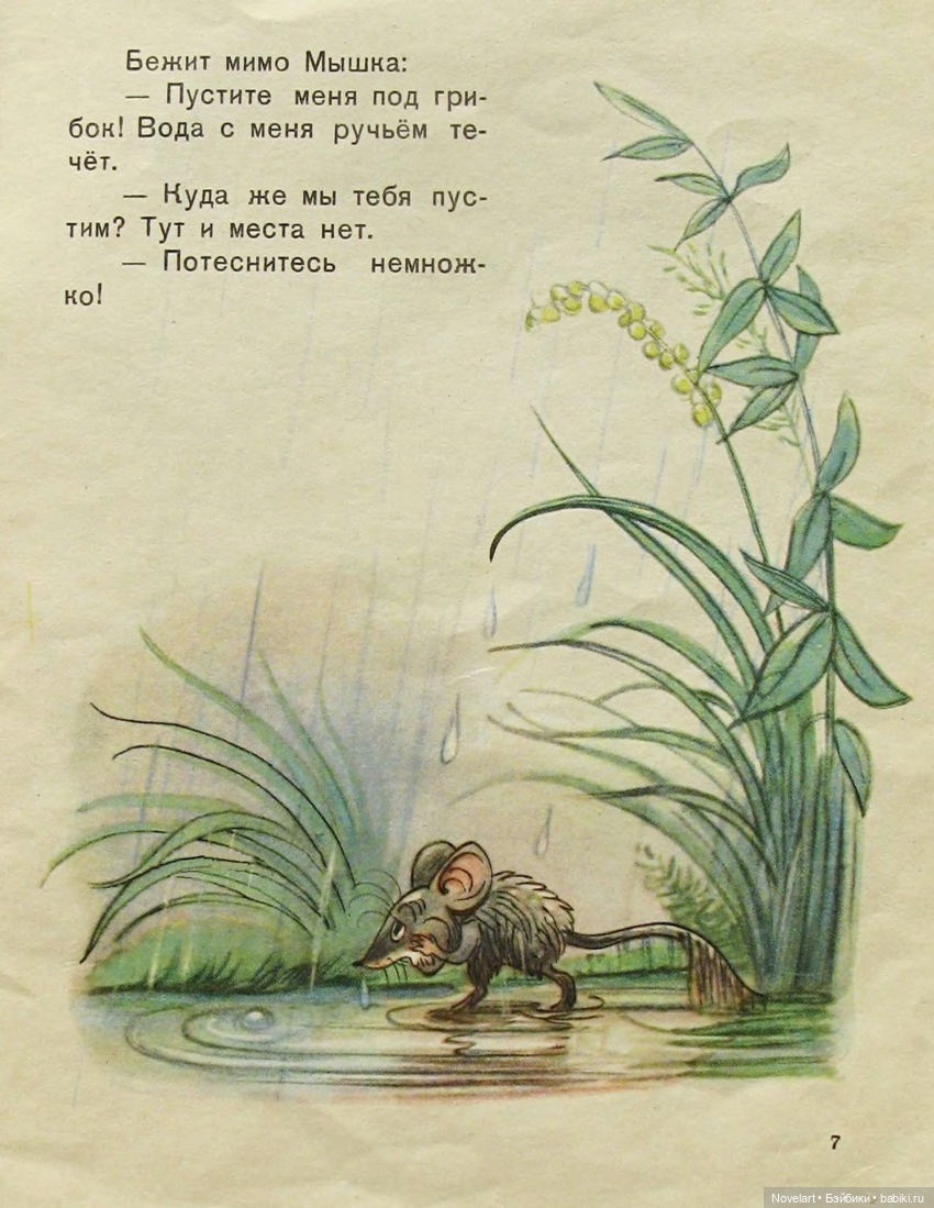 Под грибом. Владимир Сутеев. 1959г (фото 7)