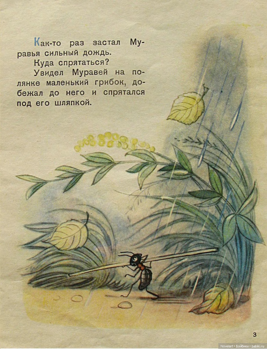 Под грибом. Владимир Сутеев. 1959г (фото 3)